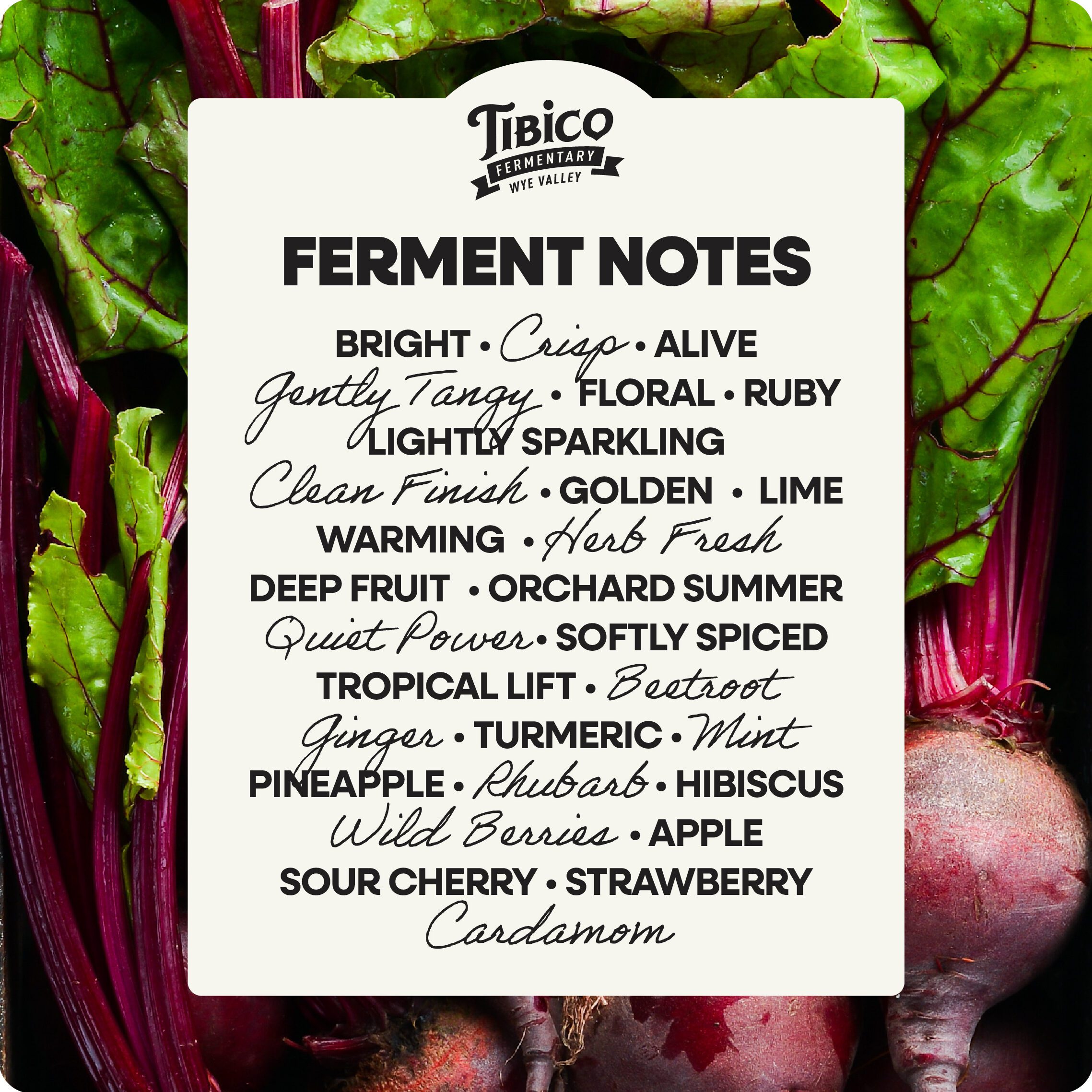 Tibico - ferment notes