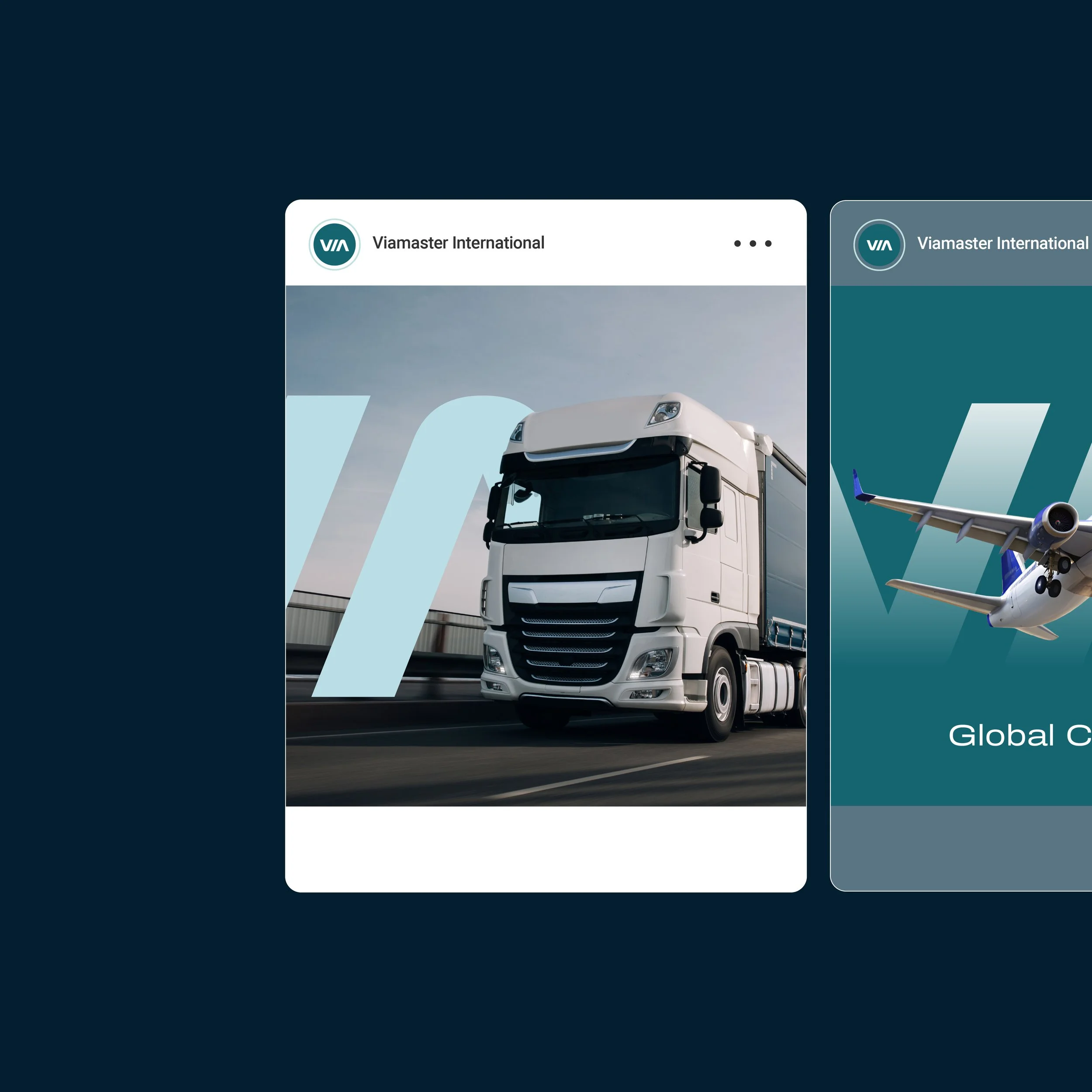 The Viamaster International brand guidelines