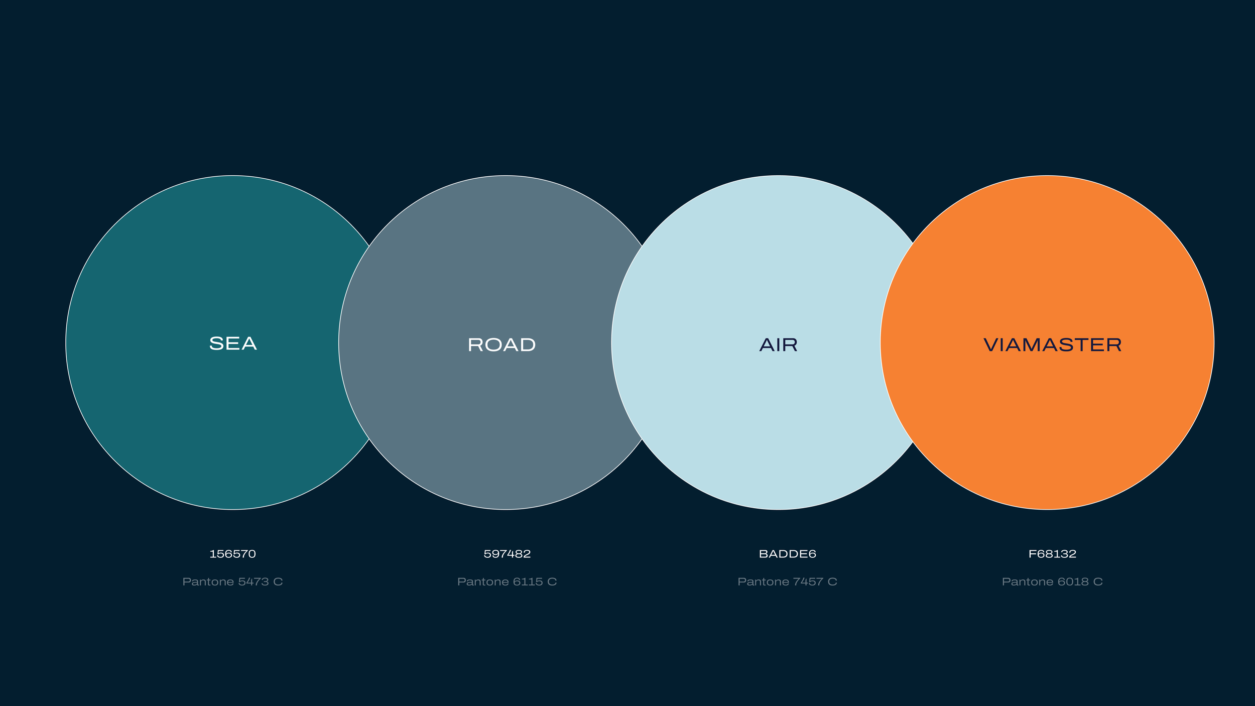 Creative moodboard for the Viamaster brand and website