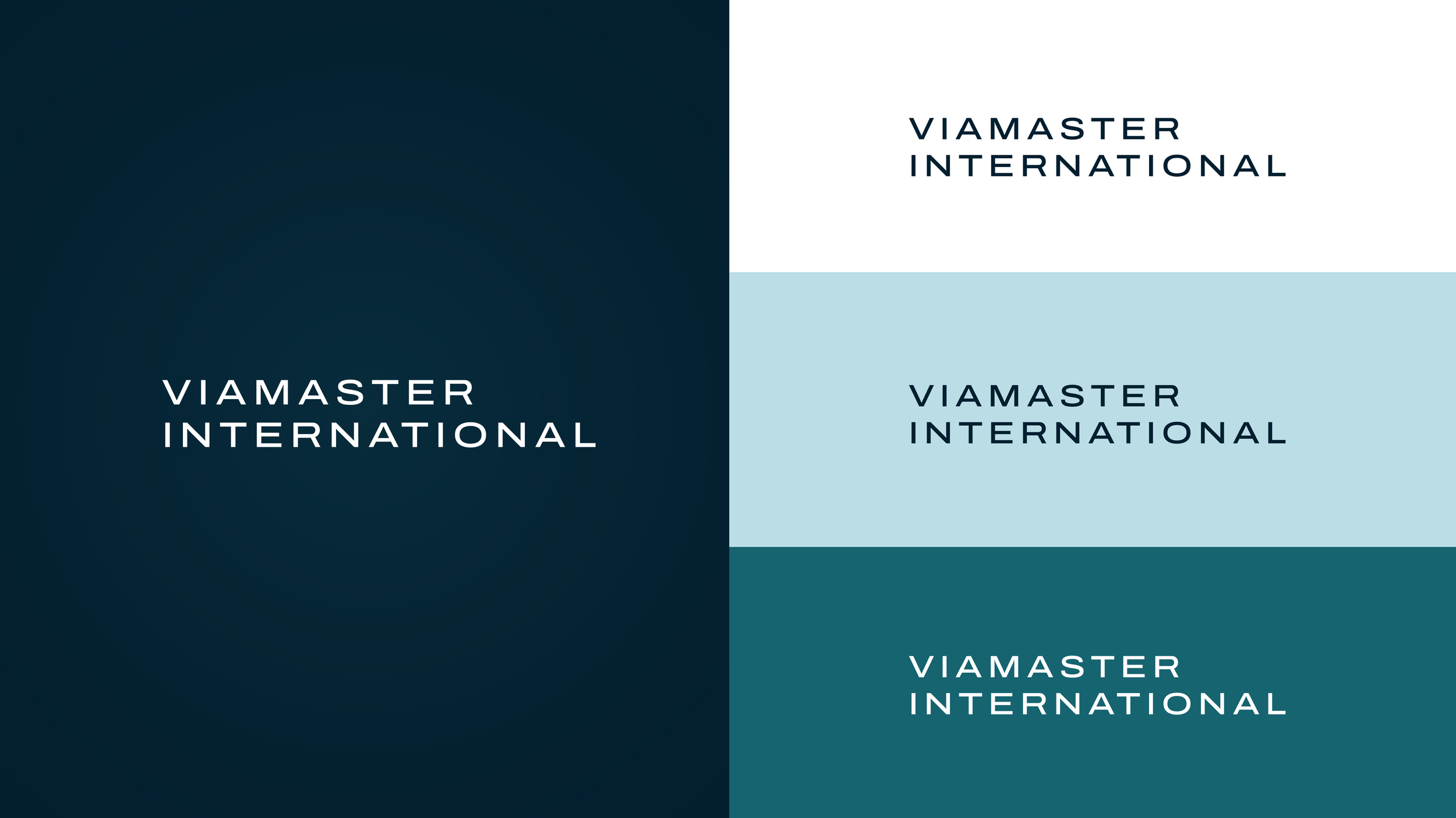 Creative moodboard for the Viamaster brand and website