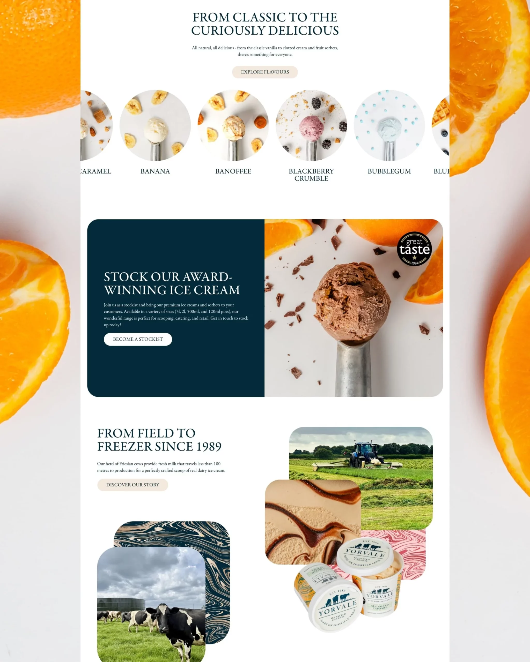 Yorvale brand development artwork